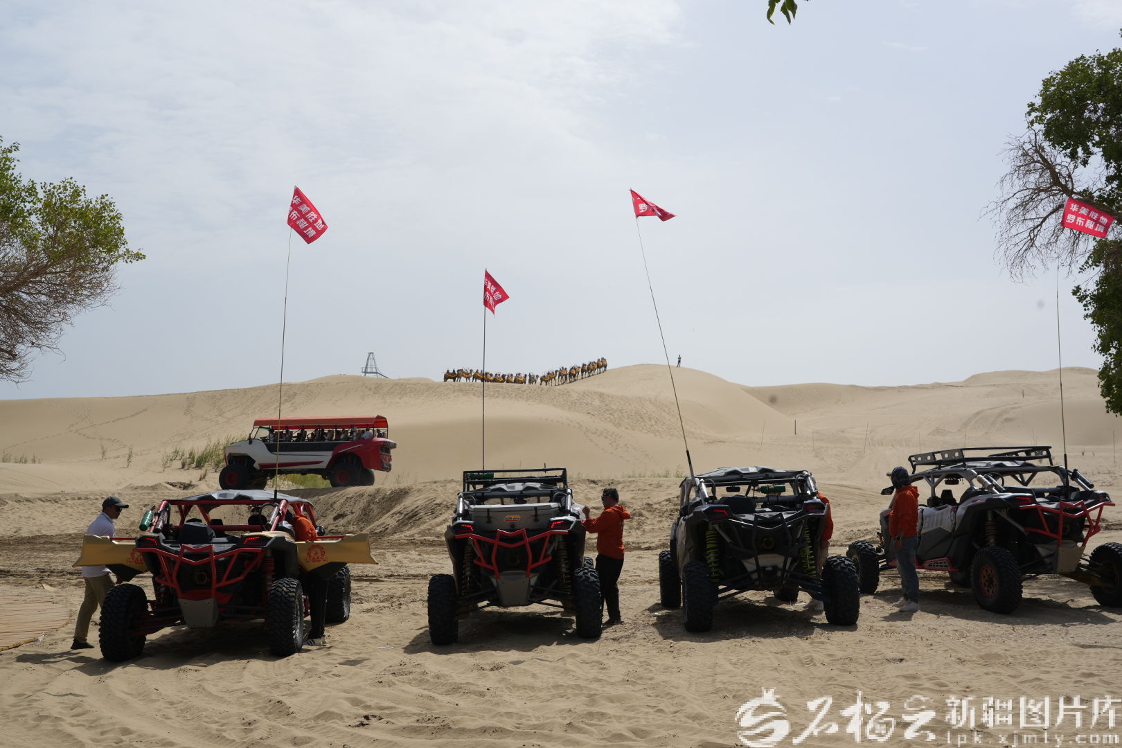 mmexport77e09eb5ab6c4c4c4f64b0eaf7110e2c_1756560498167