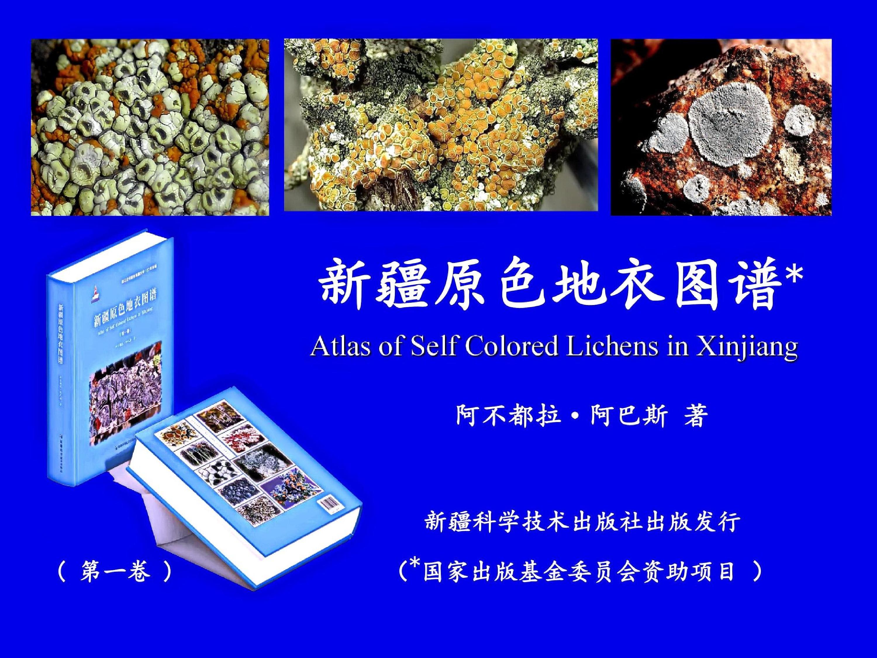 mmexport1766810125737