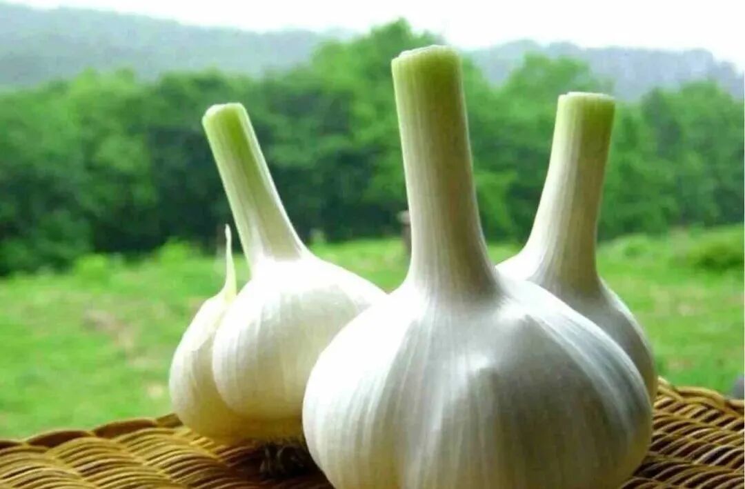 undefined 640 (7).jpg