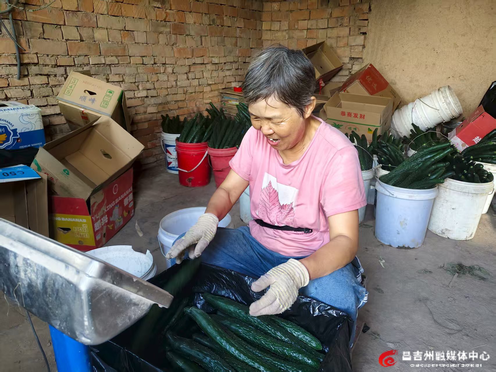 秋延晚蔬菜.jpg