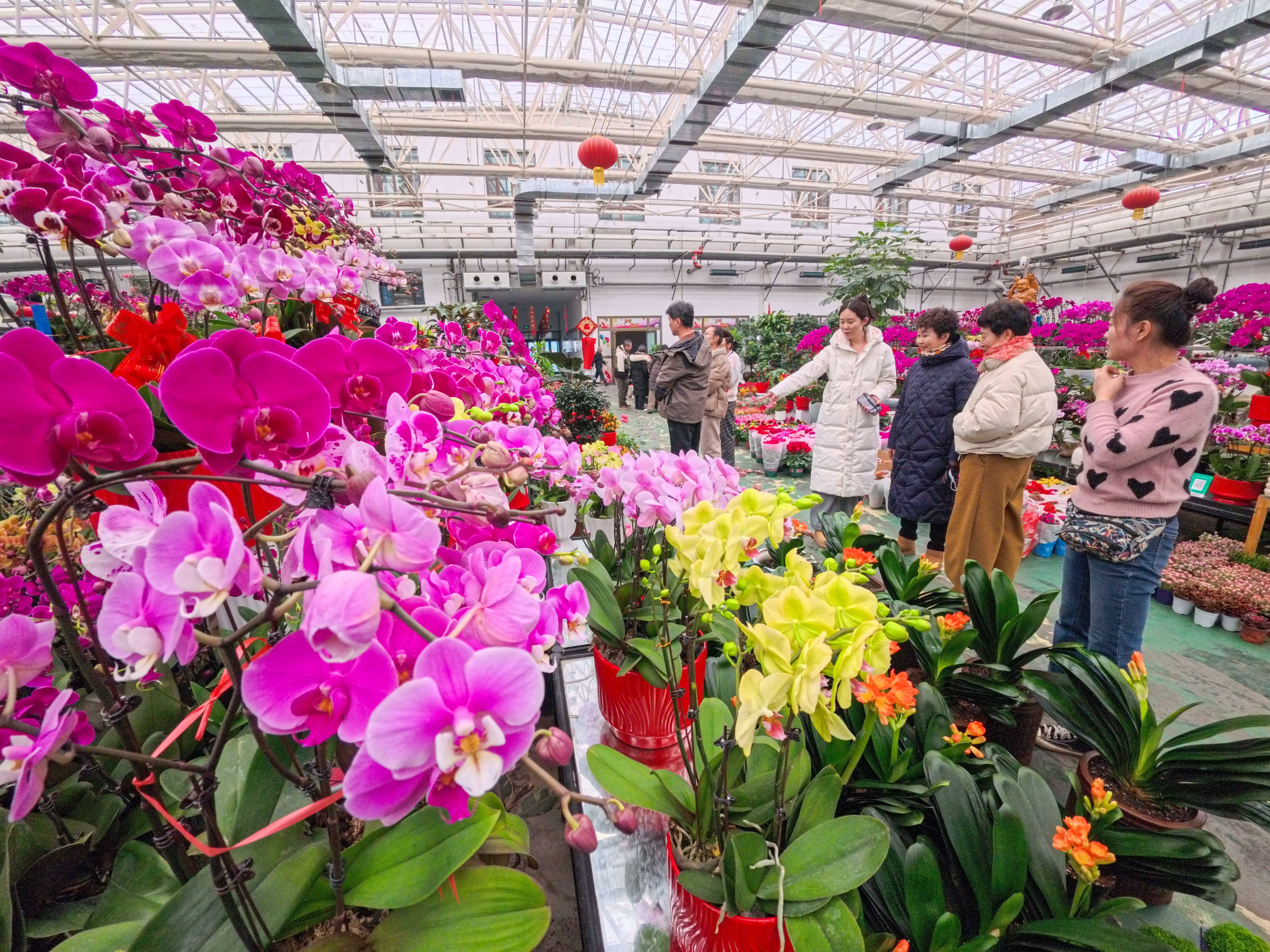 IMG_20260208_123407_539