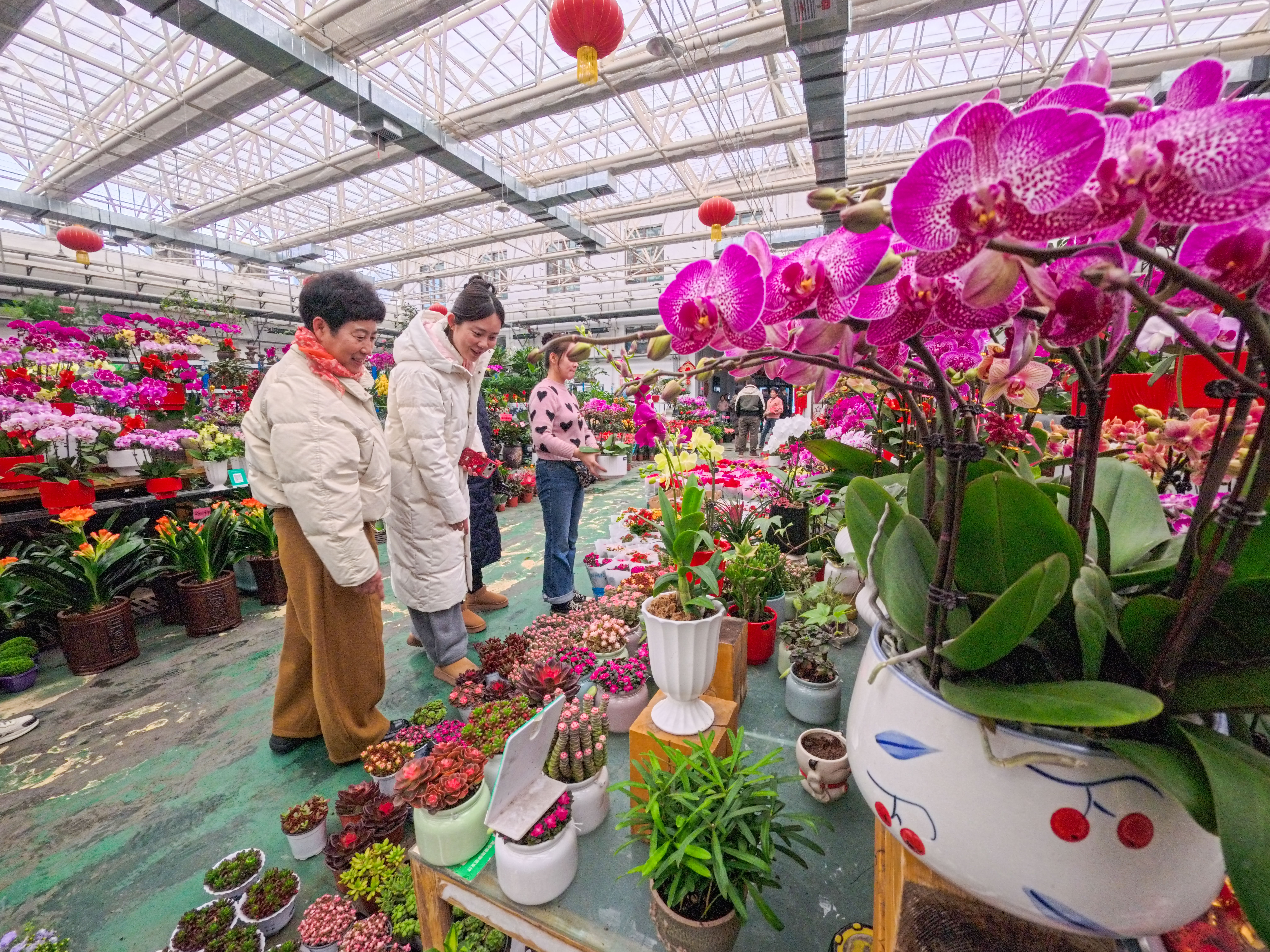 IMG_CROP_20260208_18591122