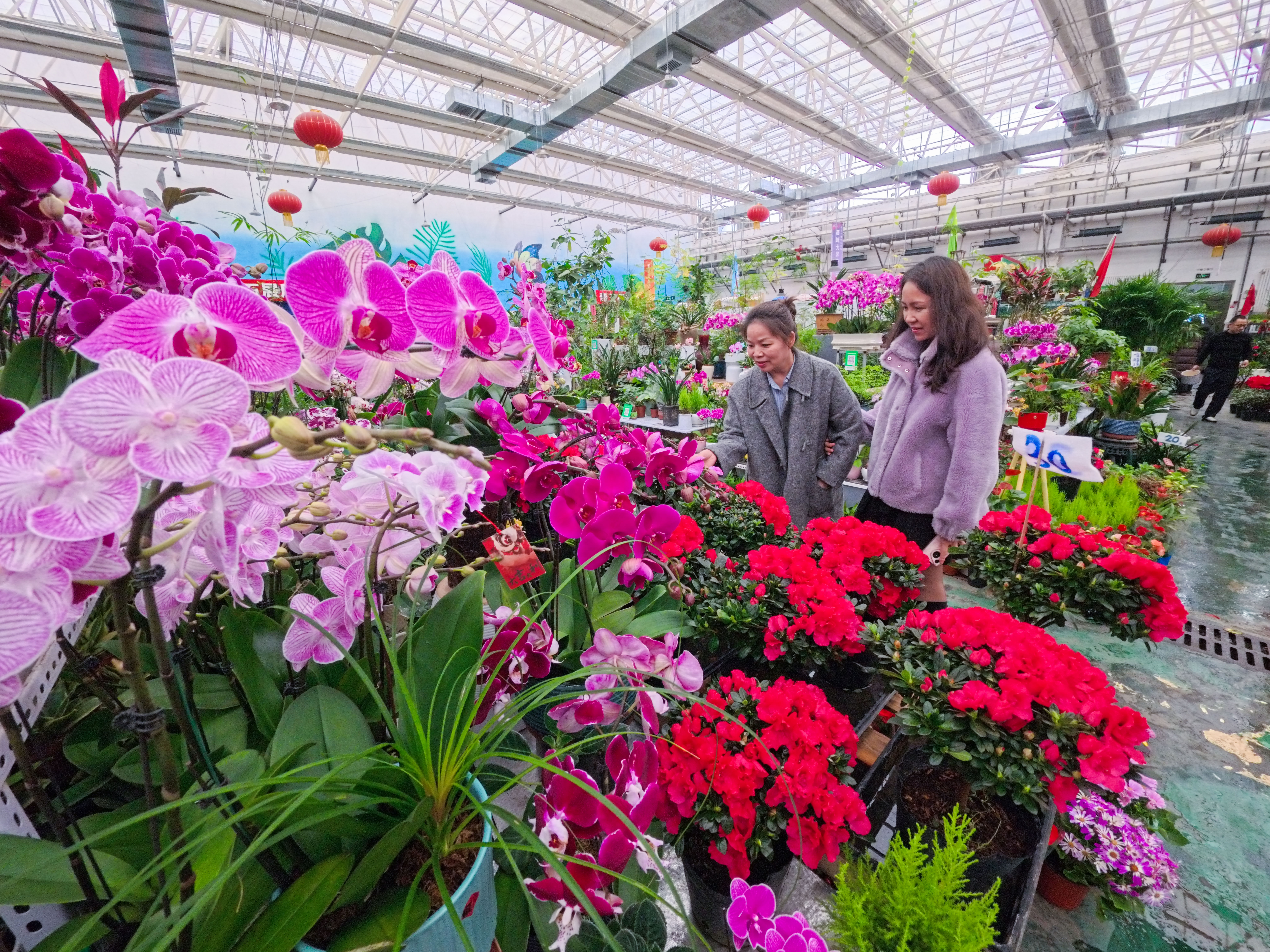 IMG_20260208_124007_542