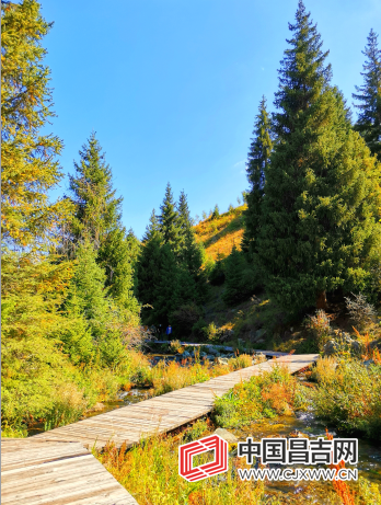 微信截图_20200917110928.png 微信截图_20200917110928.png