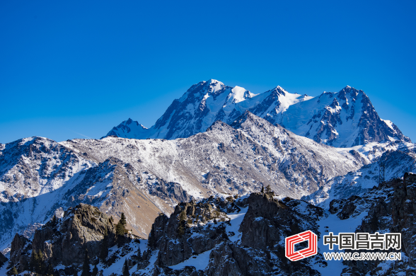 1638250720(1).png 1638250720(1).png