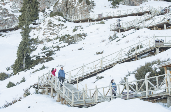 1638250817(1).png 1638250817(1).png