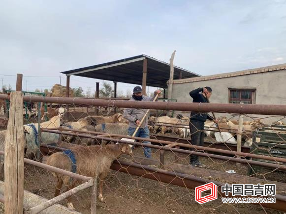 微信图片_20221017121422.jpg