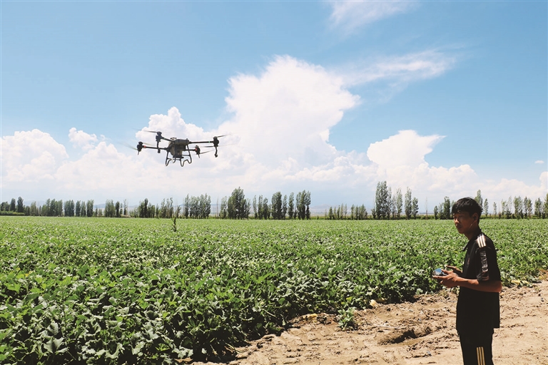 科技赋能提升农业生产效率