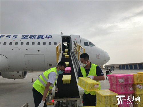 6月以来,库尔勒机场已保障60吨轮台小白杏货包机飞抵杭州,广州等城市.