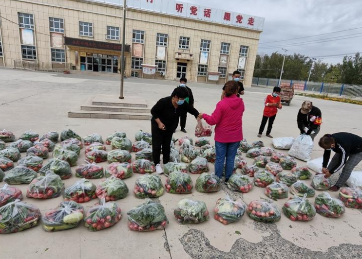 在得知兄弟村二工镇董家湾村缺少蔬菜的消息后,大泉湖村党总支在村民