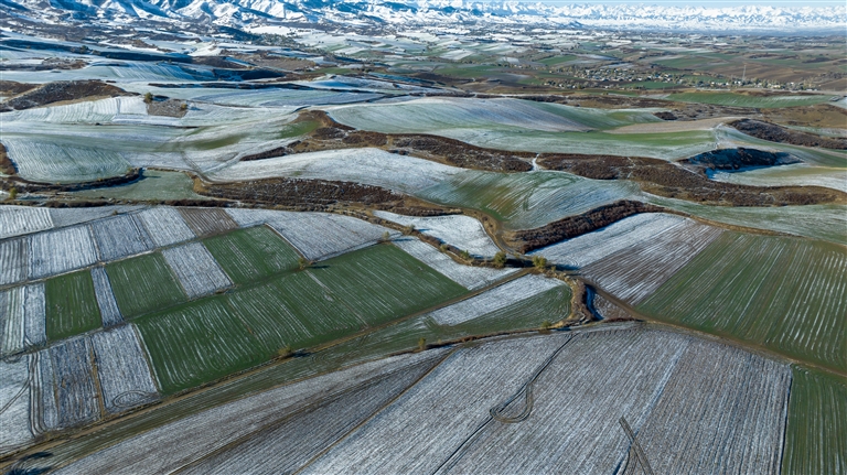 新疆是个好地方 醉美最近是昌吉|木垒县万亩旱田：秋雪与大地的交融